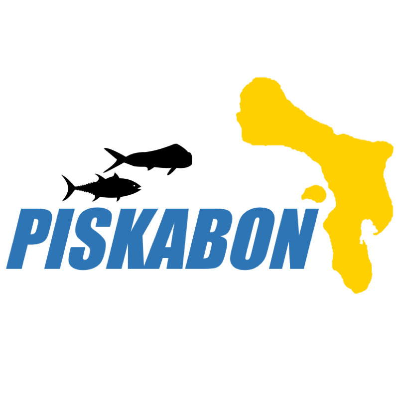 ADVERTENSIA PA PISKADรNAN โ SITUASHON NA VENEZUELA