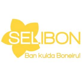 E PETISHON KU E POSISHON FUERTE DI AFBW A KONVENSÉ GERENSIA PA YAMA DEN FORMA DI URGENSIA TUR STAKEHOLDERS DIA 3 DI SÈPTÈMBER DI E AÑA AKI PA POR A DUNA UN PRESENTASHON DI E SITUASHON DI KOMPANIA SELIBON