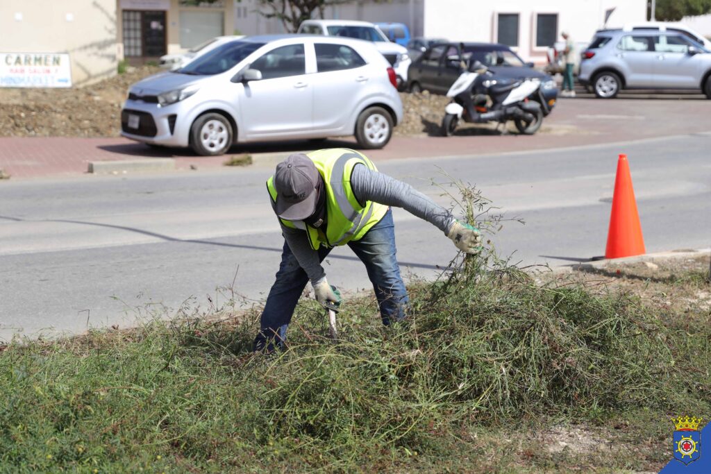 DIREKTORADO DI PLANIFIKASHON I DESAROYO TA HASI UN YAMADA RIBA USUARIONAN DI KAMINDA PA TA KOUTELOSO DURANTE MANTENSHON NA VEGETASHON