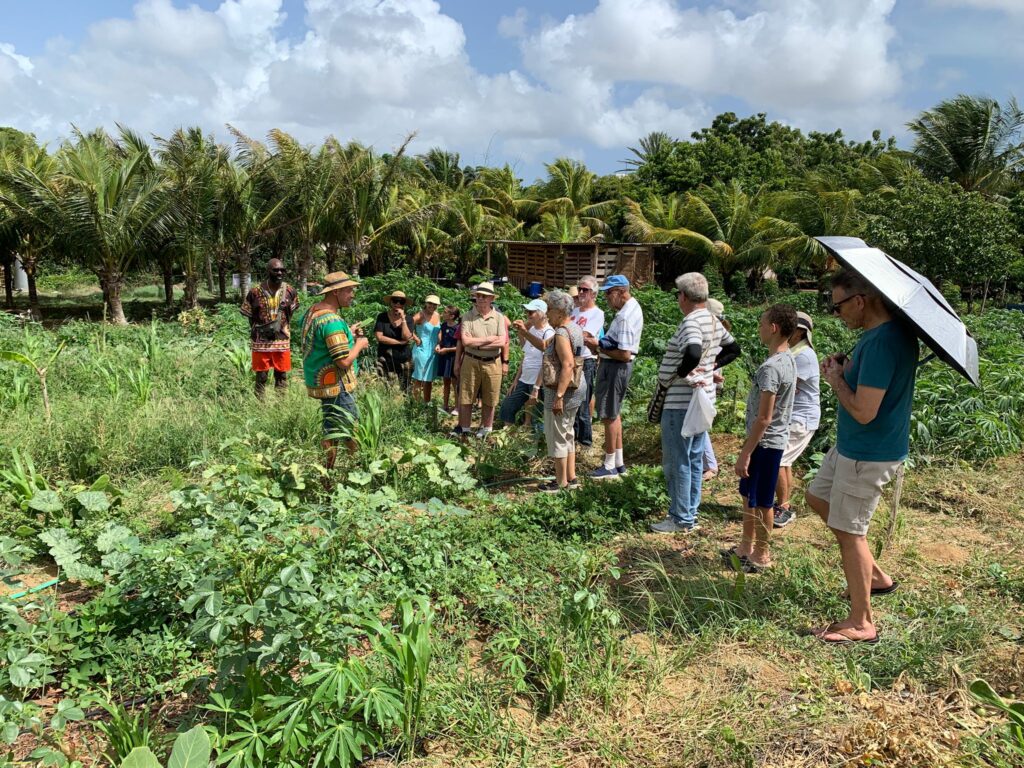 KORSOU: INNO-FONDS TA SOSTENÉ PROYEKTONAN DI NATURALESA DEN KARIBE HULANDES