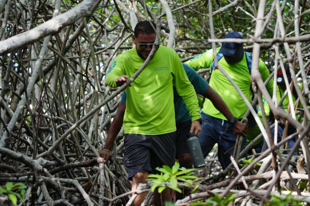 SÒLDÁ RIBA ISLA FOGON
