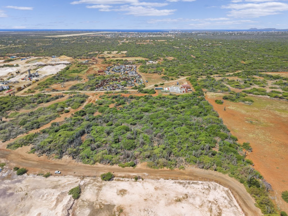 ECHONAN TA KONFIRMÁ: DIPUTADO ABRAHAM NO TA ENBOLBÍPETISHON PA TRANKILIDAT I RÈSPÈT PA FUNSHON PÚBLIKO I INTEGRIDAT