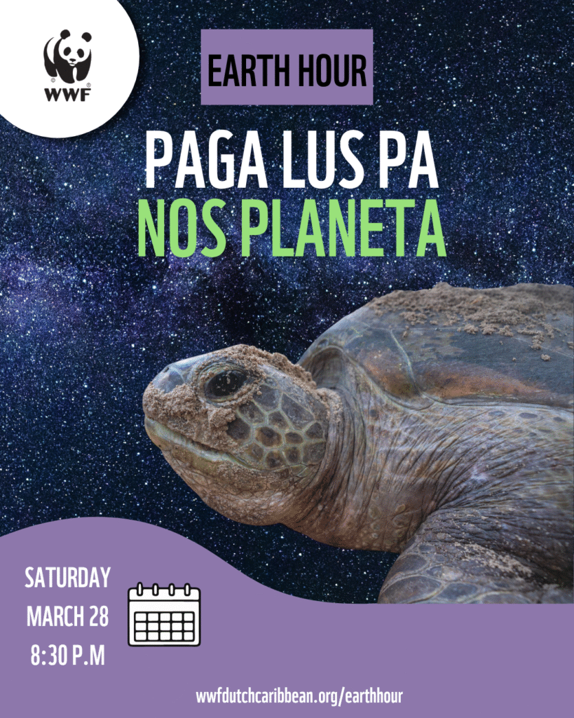 BONEIRU TA PARTISIPÁ NA EARTH HOUR: DJASABRA NOCHI TA PAGA ILUMINASHON RÒNT DI PLAZA WILHELMINA DURANTE UN ORA