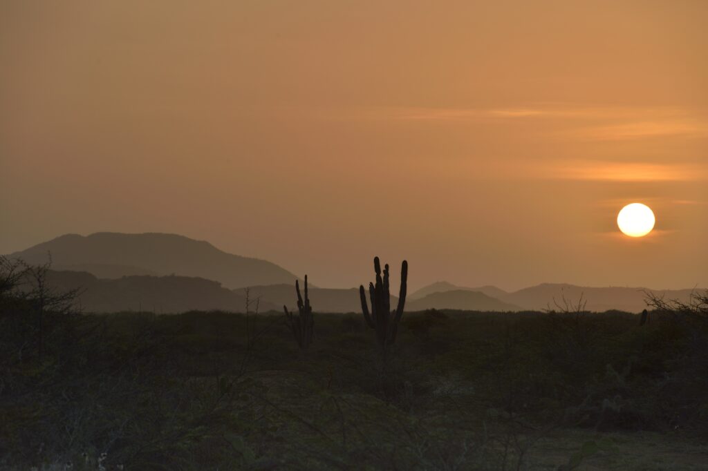 DCNA TA LANSA E PROMÉ PROGRAMA REGIONAL PA KONSERVASHON I RESTORASHON DI NATURALESA NA KARIBE HULANDES