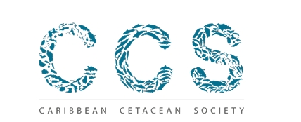 KOMUNIDAT DI BONEIRU TA MOBILISÁ DESPUES DI A TUMA NOTA DI UN BAYENA “HUMPBACK” DEN NOS AWANAN