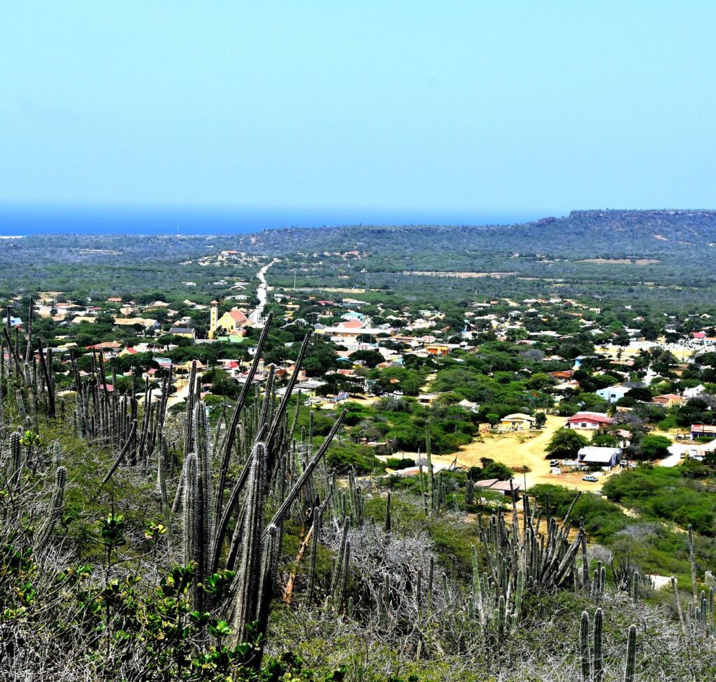 HUBENTUT DI RINCON MERESÉ UN VÈLT DI BEISBÒL SIGUR