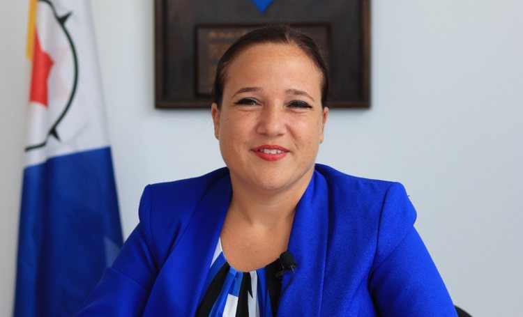 NINA FRANCEES - DEN HEYER TA MANDA KARTA PA TWEEDE KAMER.
