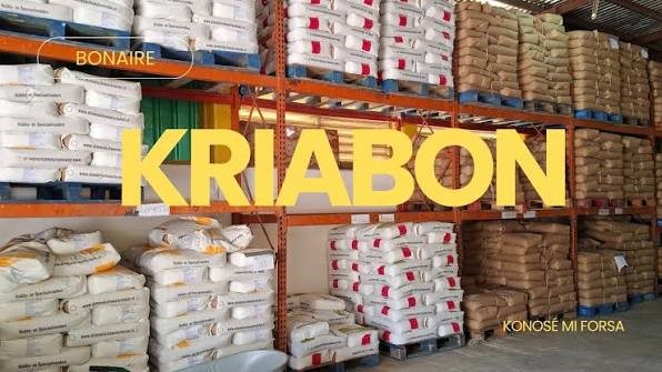 KRIABON OBLIGÁ TEMPORALMENTE ADAPTÁ PREISNAN – PERSPEKTIVA PA SOSTEN STRUKTURAL PA KUNUKERONAN