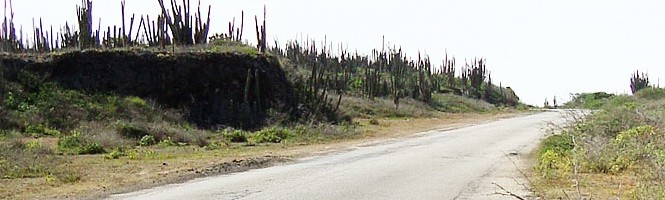 FASE DI DESTAHO PA MANTENSHON DI KAMINDA DI RINCON KOMPLETO A KUMINSÁ