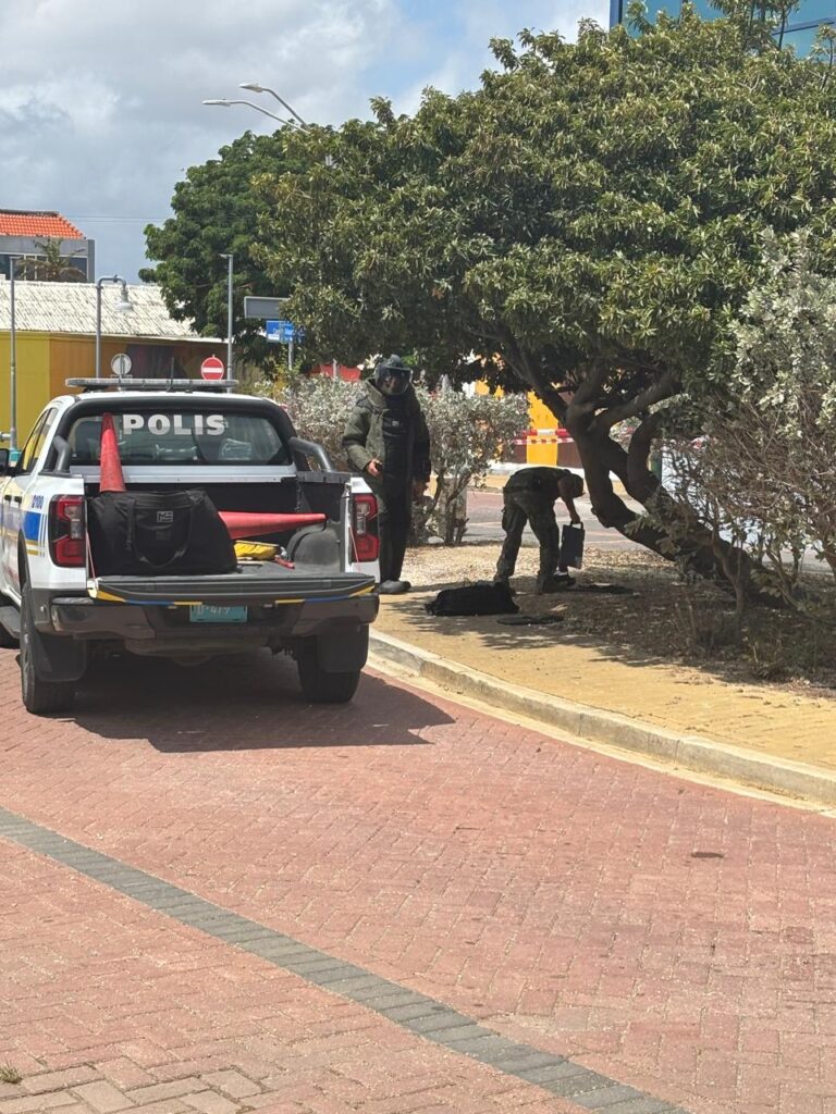 ARUBA: DEFENSA TA SOSTENE POLIS PA LOKE TA POSIBEL EXPLOSIVO RIBA ARUBA